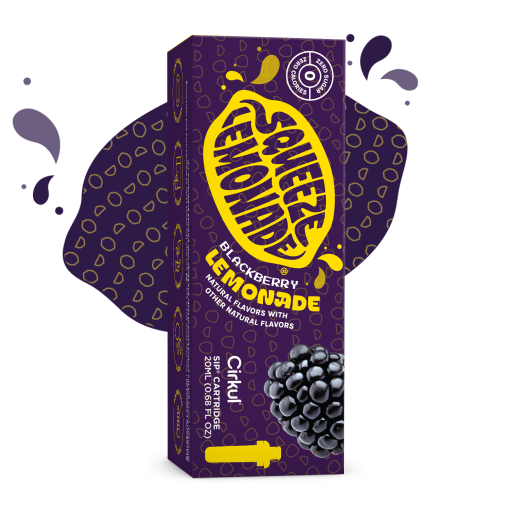 Squeeze Blackberry Lemonade | Modern Pick